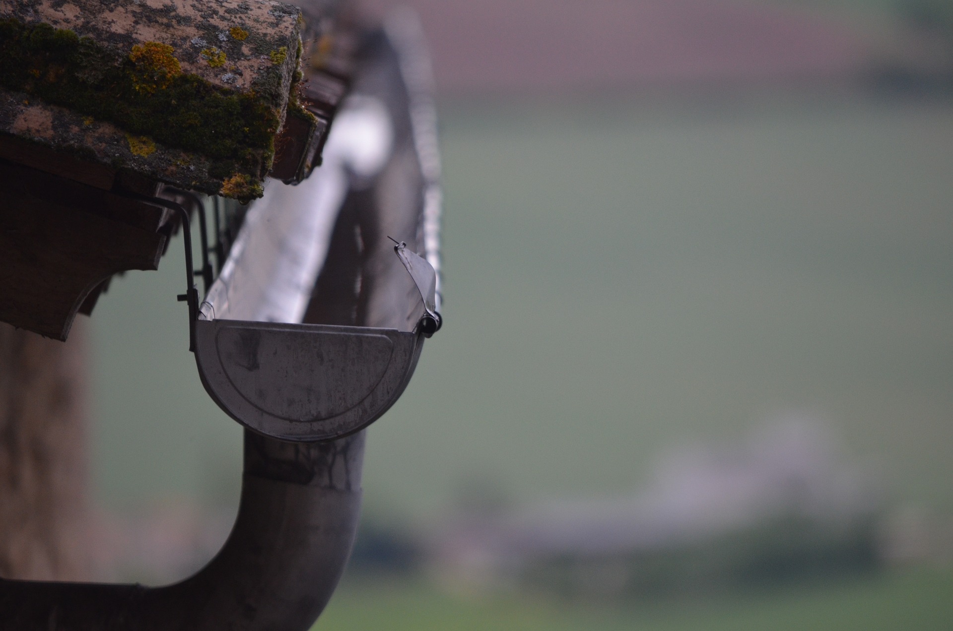 Gutter Cleaning Services